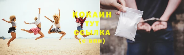 мдпв Няндома