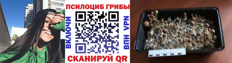 Галлюциногенные грибы ЛСД дарнет шоп Спасск-Рязанский